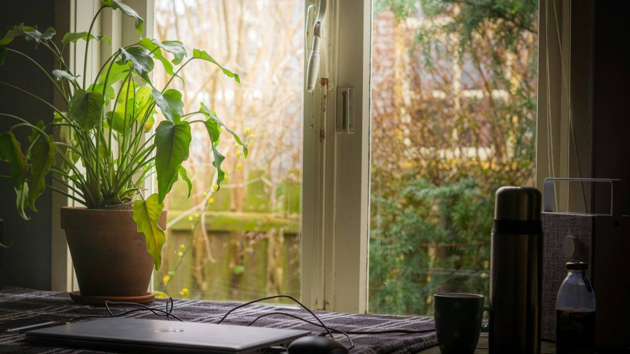 A complete guide to building a home office in your garden
