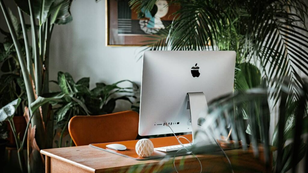 An Apple monitor surrounded by green plants