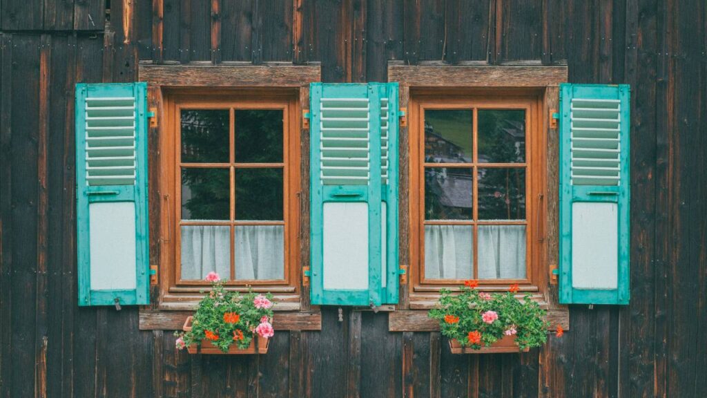 Two old windows with pots of red flowers