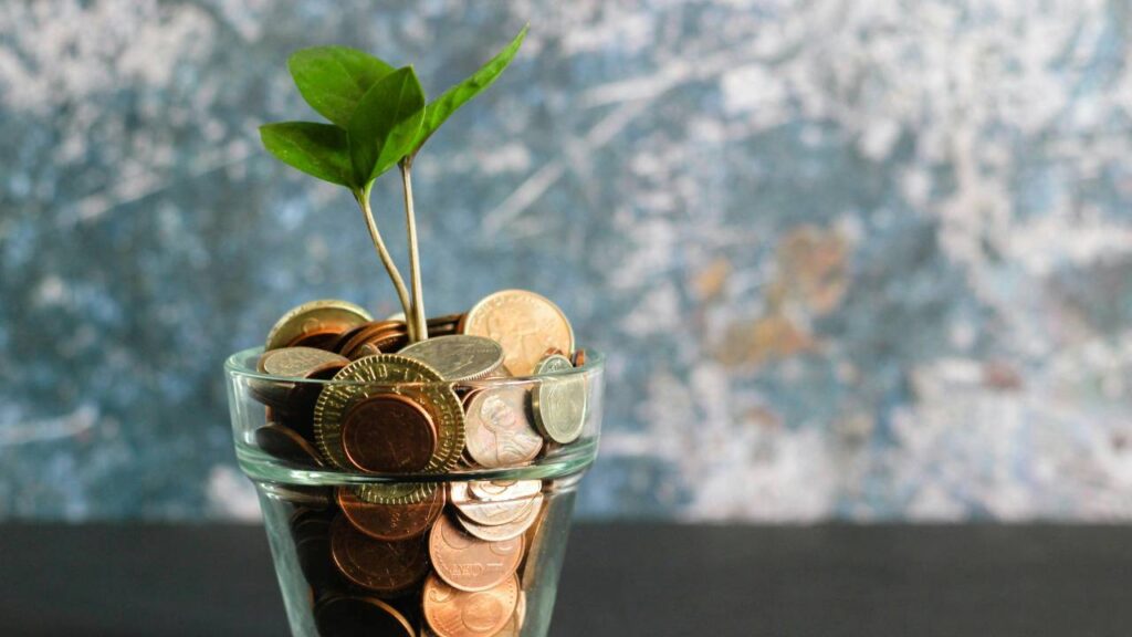 A glass jar filled with coins and a green plant